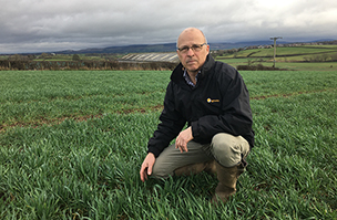 Simon Nelson - updates from the field